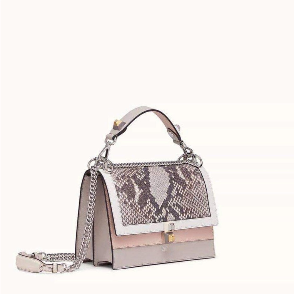 Fendi Kan I python bag